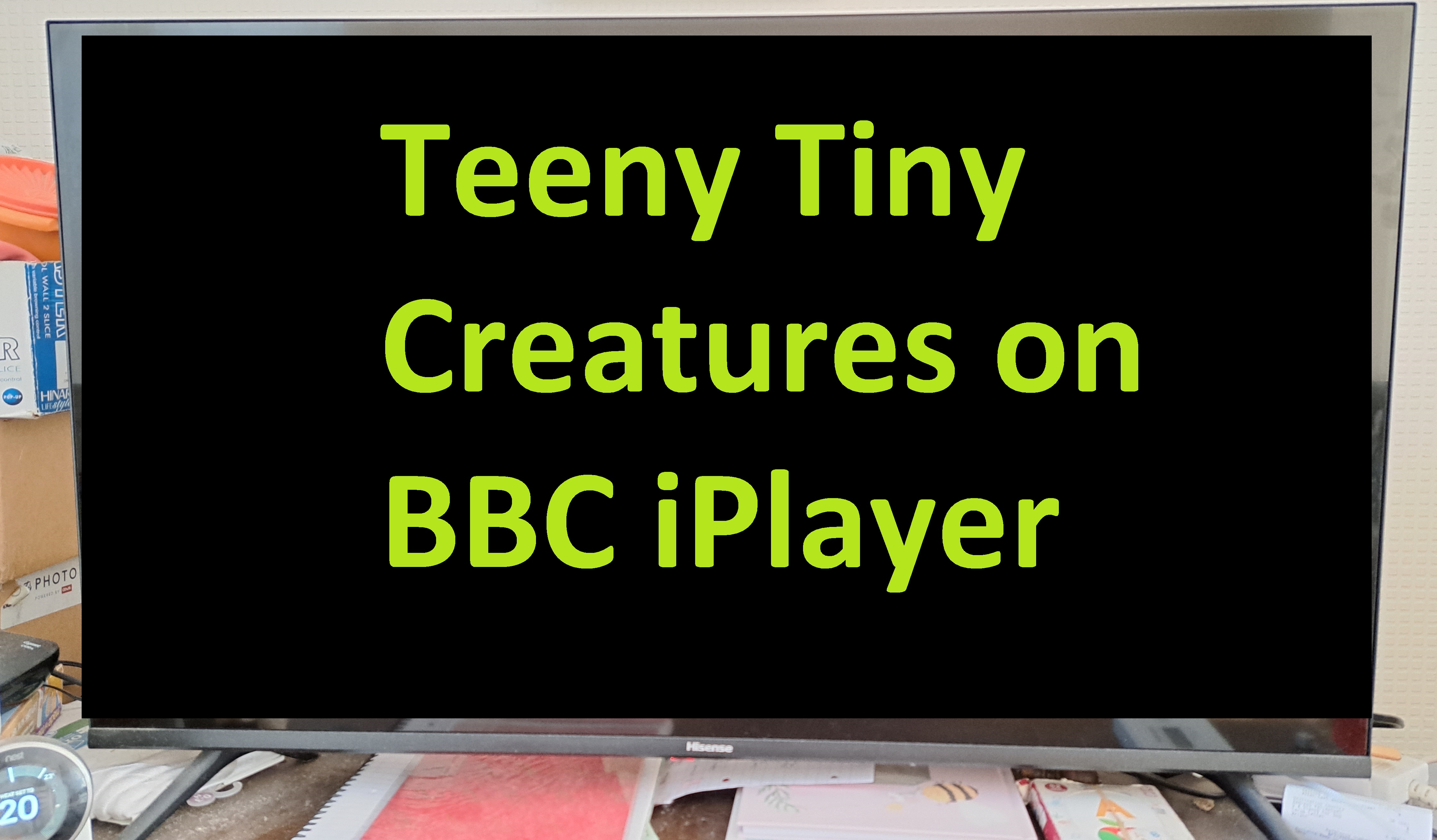 Teeny Tiny Creatures on BBC iPlayer